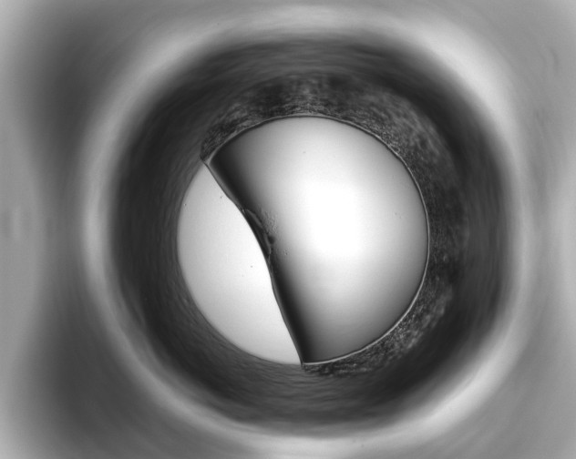X0000093770766200710160856