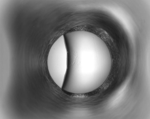 X0000093770767200710160856