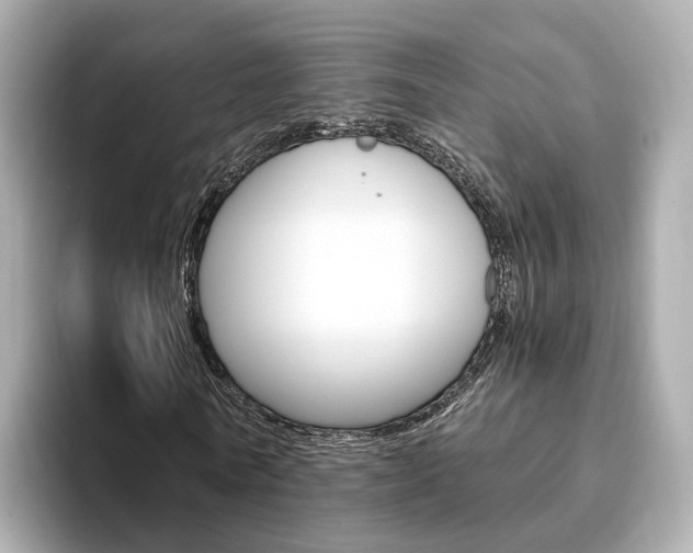 X0000093770770200710160856