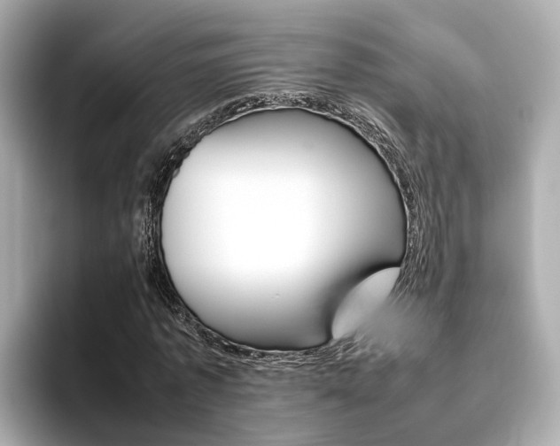 X0000093770773200710160856