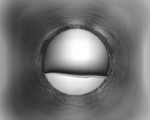 X0000093770775200710160855