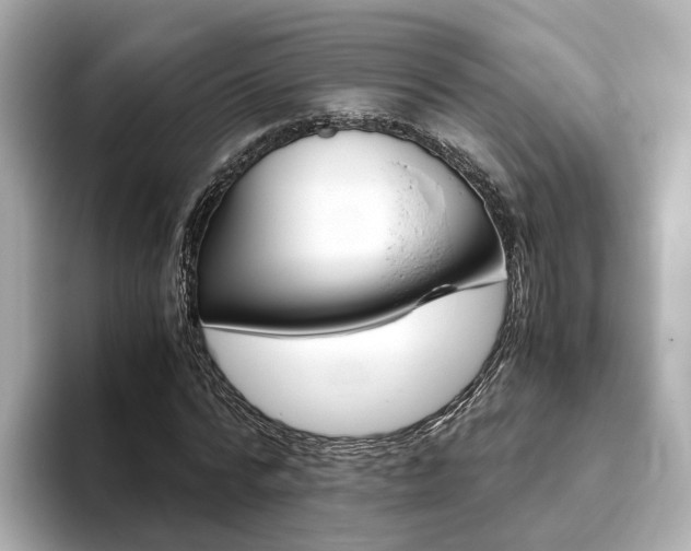 X0000093770776200710160855
