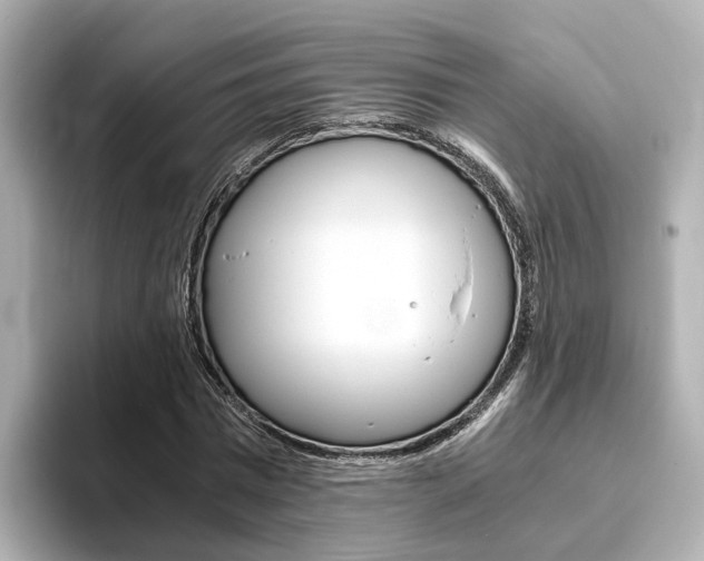 X0000093770777200710160855