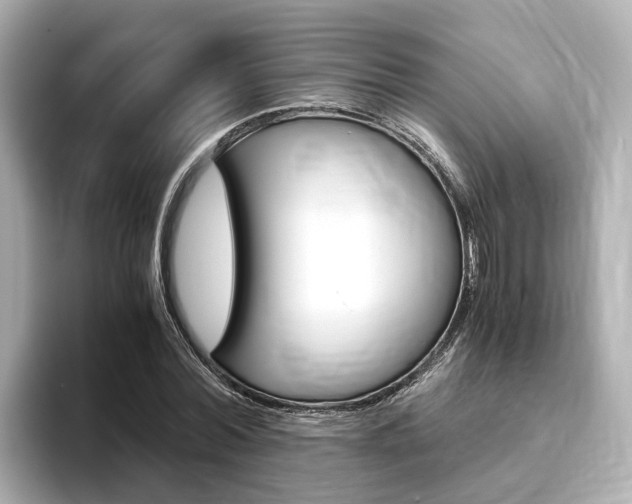X0000093770780200710160855