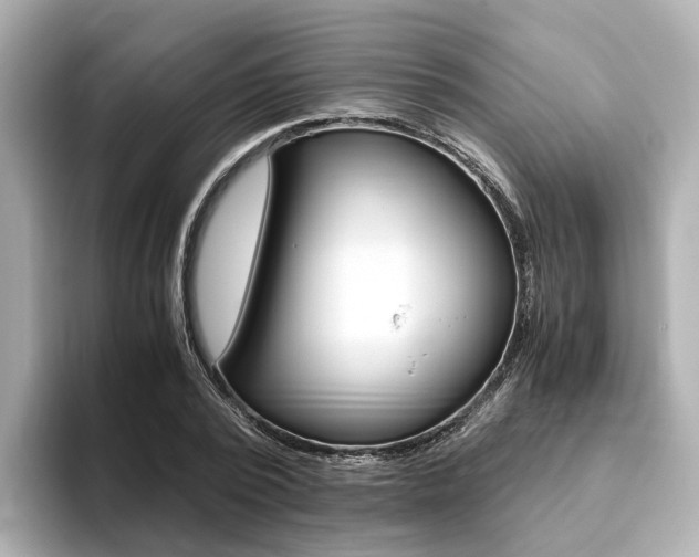X0000093770784200710160855
