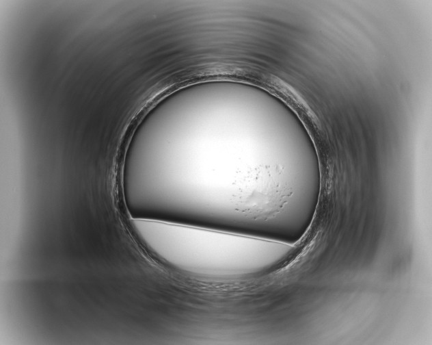 X0000093770786200710160855