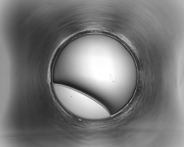 X0000093770791200710160855