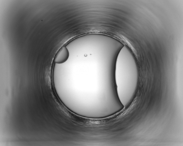 X0000093770794200710160855
