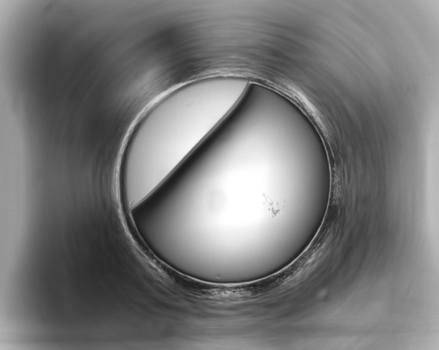 X0000093770795200710160855