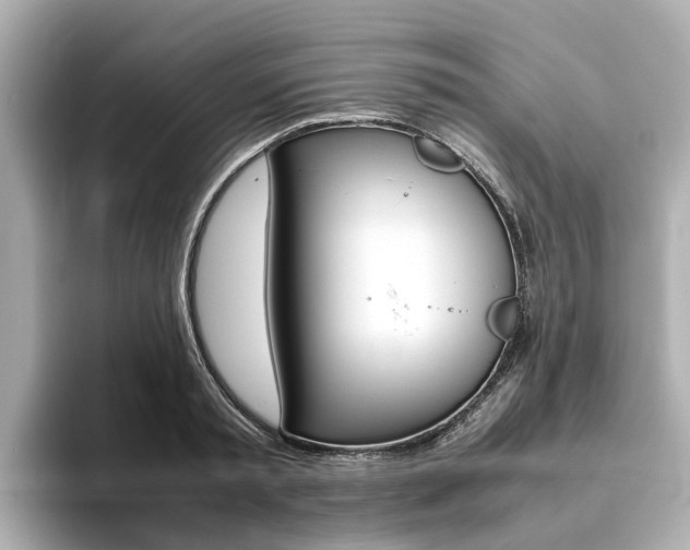 X0000093770797200710160855