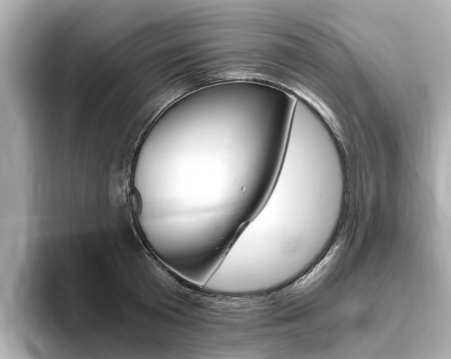 X0000093770801200710160855