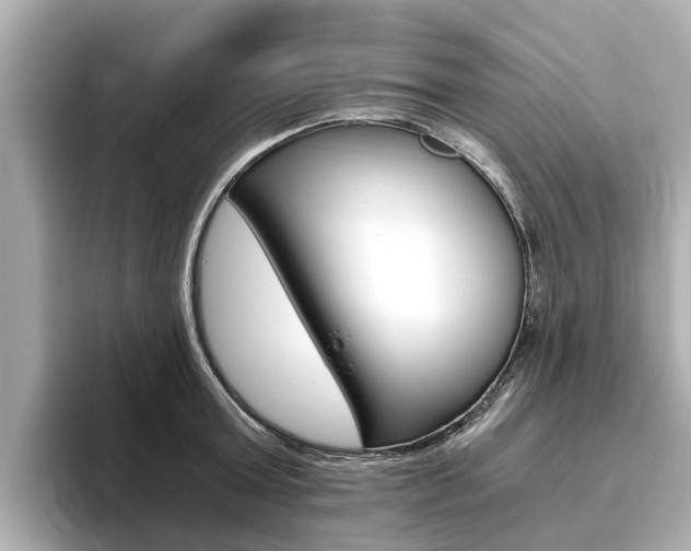 X0000093770803200710160855