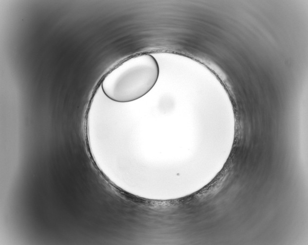 X0000093770807200710160855