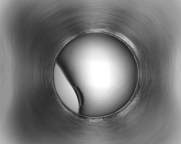 X0000093770809200710160855