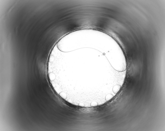 X0000093770810200710160855