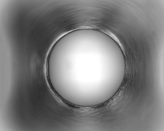 X0000093770811200710160855
