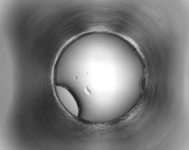 X0000093770815200710160855
