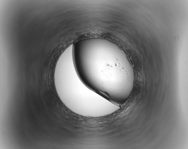 X0000093770818200710160854
