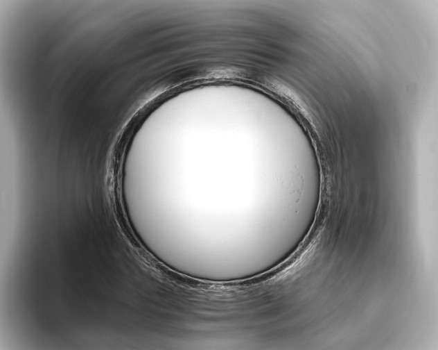 X0000093770827200710160854