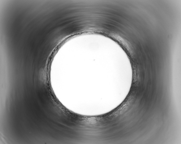 X0000093770828200710160854