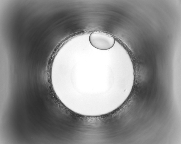 X0000093770832200710160855