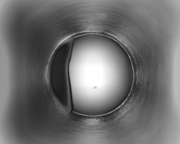 X0000093770838200710160855