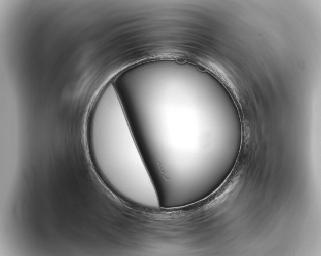 X0000093770843200710160855