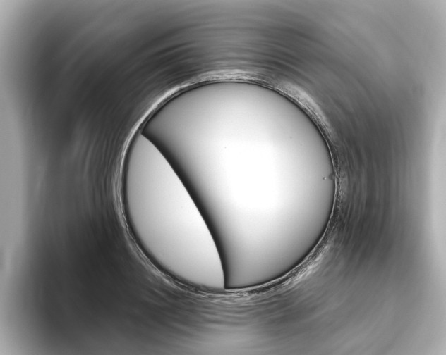 X0000093770844200710160855