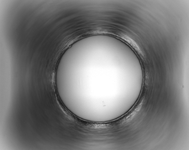 X0000093770849200710160855