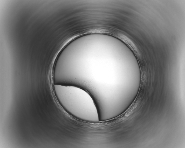 X0000093770852200710160855