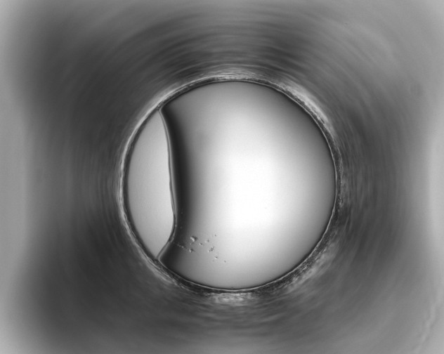 X0000093770853200710160855