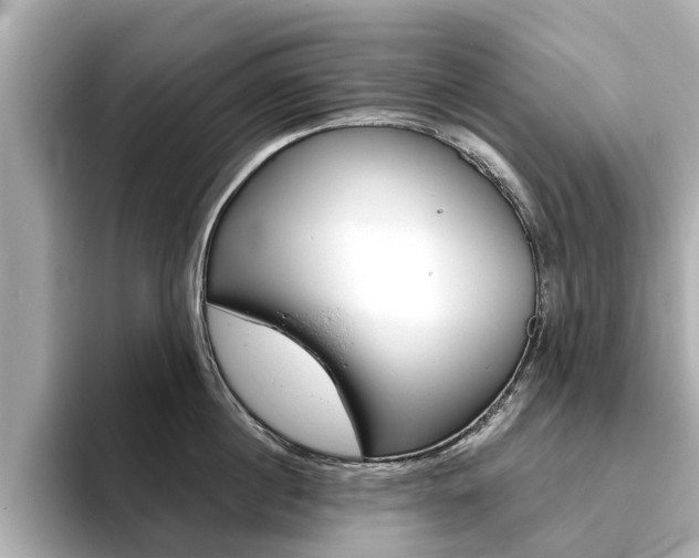 X0000093770860200710160855