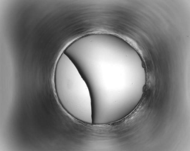 X0000093770863200710160855
