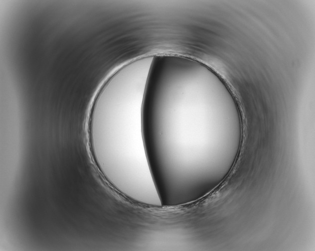 X0000093770864200710160855
