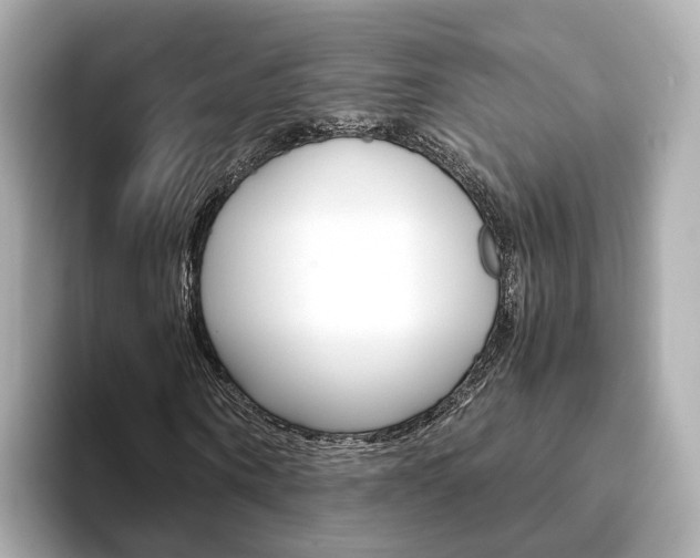 X0000093770866200710160854