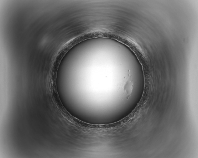 X0000093770872200710160854