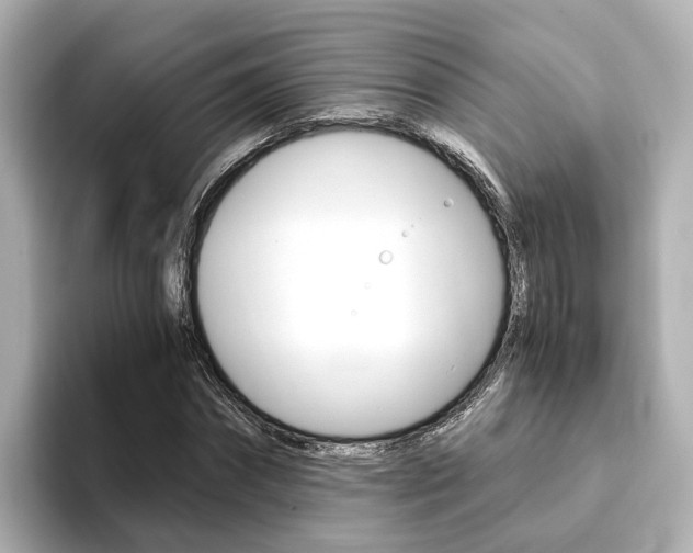 X0000093770874200710160854