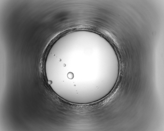 X0000093770875200710160854