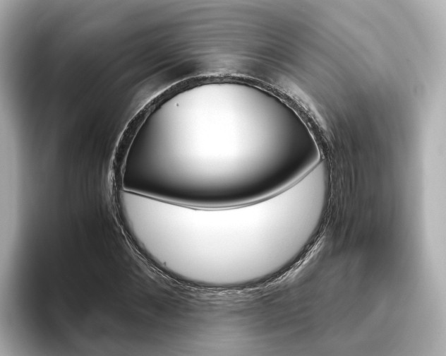 X0000093770876200710160854