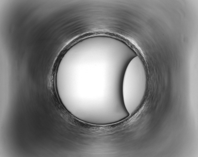 X0000093770879200710160854