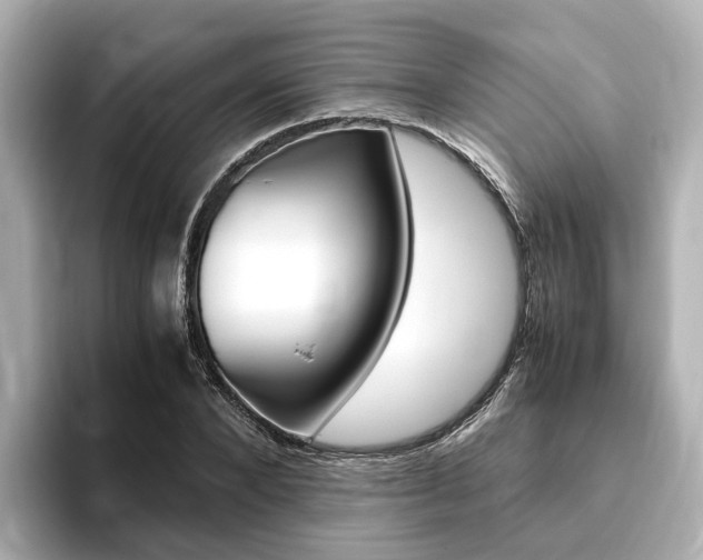 X0000093770880200710160854
