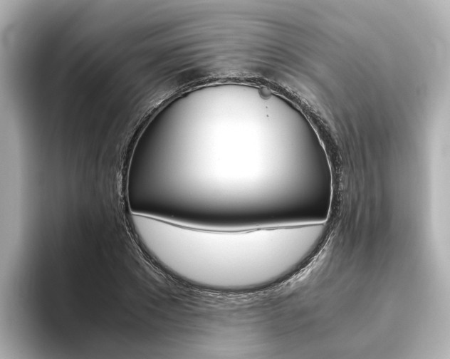X0000093770881200710160854