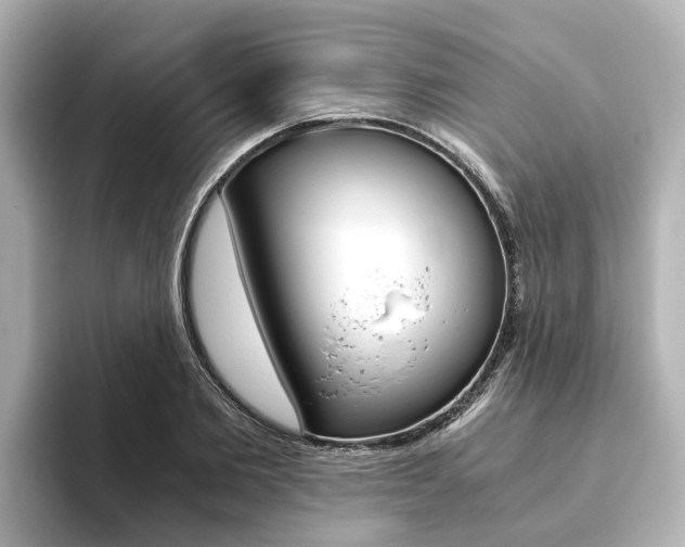 X0000093770885200710160854