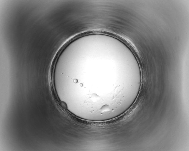 X0000093770887200710160854