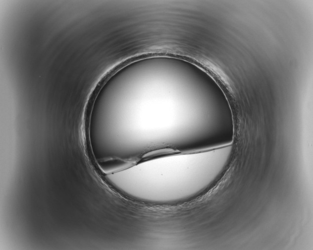 X0000093770888200710160854