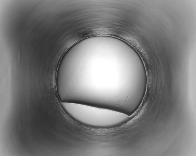 X0000093770889200710160854