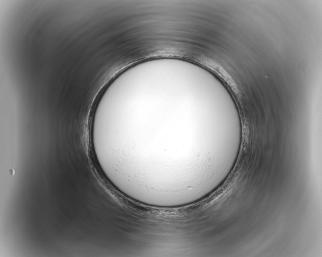 X0000093770890200710160854