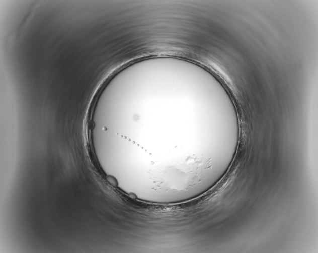 X0000093770891200710160854