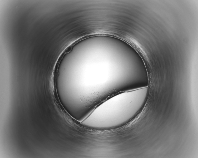 X0000093770892200710160854