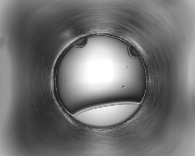 X0000093770894200710160854